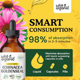 Echinacea Goldenseal Drops - Organic Echinacea Goldenseal Root Liquid Extract - Herbal Supplement - Vegan, Alcohol Free Tincture - 4 fl oz