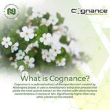 Cognance Enhanced Bacopa Capsules | 100mg | 10% Ebelin Lactone | Bacopa monnieri | Mood, Memory, & 5-HT2A Activation