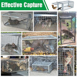 2 Packs Humane Rat Trap, Mouse Traps Indoor, Small Rodent Animal-Chipmunk, Squirrel and Other Live Animal Cage Catch and Release