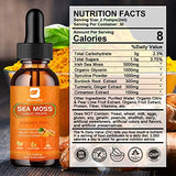 B BEWORTHS Sea Moss Liquid Drops - Organic Irish Sea Moss Raw Gel with Burdock Root, Tumeric, Spirulina, Seamoss Gel Supplement for Immune, Joint & Thyroid, Digestive Support - 2 Fl Oz, Vegan