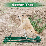 Qualirey 8 Pcs Outdoor Gopher Trap Easy Set Mole Trap Weather Resistant Gopher Killer Vole Trap for Lawn Garden Farm (Green)