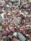 Natural Cedar Shavings (8 Quart)