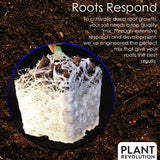 Plant Revolution PRPSGW08 100049824 8 oz Mycorrhizae, 8 Ounce, White