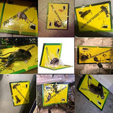 Mouse Traps,RatTraps,Mouse Traps Indoor,Rat Traps for House,Mouse Glue Traps,Mice Traps for House,Sticky Traps, Glue Boards Professional Strength That Work Capturing Indoor and Outdoor Rat