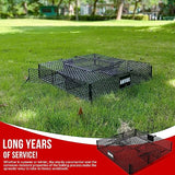 AMVOG Squirrel Trap (No Bottom Tray) - Ideal for Chipmunks and Squirrels, Metal Construction, Holds up to 25 Squirrels, 1 Trap