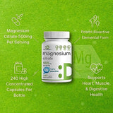 Magnesium Citrate 500mg, 240 Capsules | Easily Absorbed, Purified Trace Mineral – Muscle, Heart, & Digestive Support – One a Day, Non-GMO