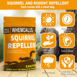 DALIYREPAL Squirrel Repellent Outdoor, Chipmunk Repellent Outdoor,Squirrels Repellent for Garden, Outdoor Squirrels Repellent for Attic, Squirrel Deterrent Balls Mint, Keep Squirrel Away -8 PCS