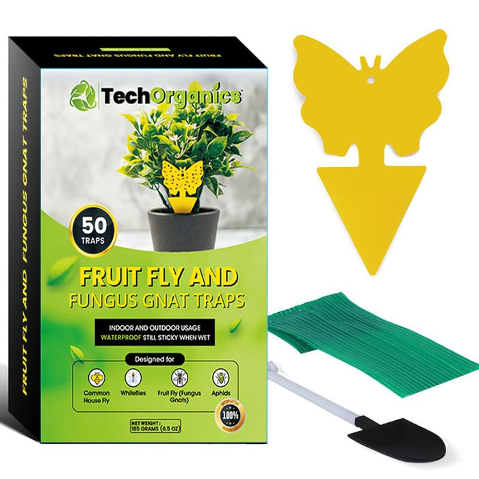 Fruit Fly and Gnat Traps | Great for Indoors and Outdoors | Also for Ants, Moths, Spiders, Flies | Easy to Use | Easy to Dispose