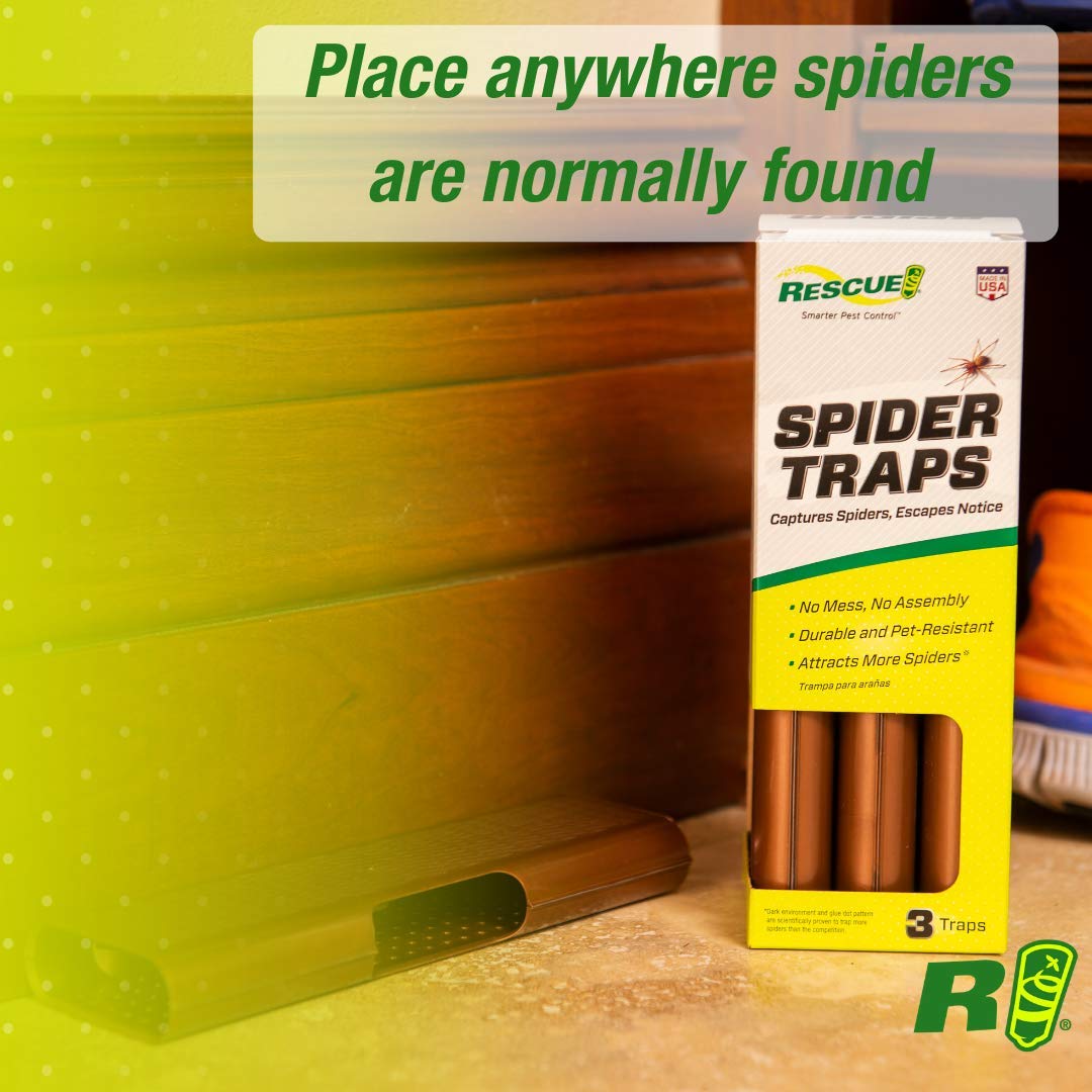 RESCUE! Spider Traps – Catches Brown Recluse, Hobo Spiders, Black Wido ...