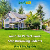 Nature’s MACE Mole & Vole Repellent 32oz Castor Oil Concentrate/Covers up to 5,000 Sq. Ft. / Keep Moles and Voles Out of Your Lawn and Garden/Safe to use Around Home & Plants Guaranteed