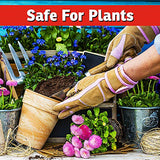 I Must Garden Deer Repellent: Mint Scent Deer Spray for Gardens & Plants – Natural Ingredients – 32oz Ready to Use