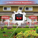 Solar Powered Nocturnal Animal Repeller, Predator Control Light Animal Repellent Device, Red Led Light Outdoor Deterrent Coyote Raccoon Deer Fox Skunk Squirrel for Garden Yard Farm Chicken Coop (2)