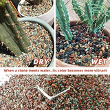 7lb Mix Horticultural Lava Rock Pebbles Pumice Potting Soil Amendment Succulent Cactus Bonsai Gritty Rock Decorative Gravel Plant Drainage Volcanic Rock for Aquarium Fairy Gardening Top Dressing