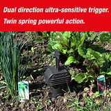 SWISSINNO Gopher & Vole Trap PRO SuperCat. Control Gophers, Voles + Field Mice, Unique Trigger Catch Action, Ultra-Effective + High Catch Rates. Easy to Setup, Safe+ Reusable. Made in Europe: 1x Trap