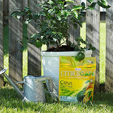 BGI CITRUSGAIN 10lb Bag, Citrus Fertilizer