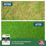 Turf Titan Root Booster – Lawn Probiotic & Garden Booster – Natural Liquid Probiotic for Plants & Lawn Care – Green Lawn Booster for Effortless Lawn Maintenance - Covers up to 8,000 Sq Ft