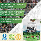 Opportuniteas Vanilla Whey Protein Powder - Grass Fed Whey Isolate + Real Sugar & Vanilla Flavor - Perfect for Shakes, Smoothies, Drinks, Cooking & Baking - Non GMO & Gluten Free - 2.5lb