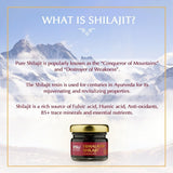 vasu ayurveda Highest Potency 100% Natural Himalayan Shilajit Resin Pure Form of Fulvic Acid & 85+ Trace Minerals - The Black Gold - 50 Day Supply Dual Value Pack - Energy Booster