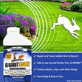 Nature’s MACE Rabbit Repellent 5 Gal Concentrate/Covers 10 Acers/Rabbit Repellent and Deterrent/Keep Rabbits Out of Your Lawn and Garden/Safe to use Around Children & Plants