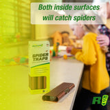 RESCUE! Spider Traps – Catches Brown Recluse, Hobo Spiders, Black Widows & Wolf Spiders - 4 Pack (12 Traps)