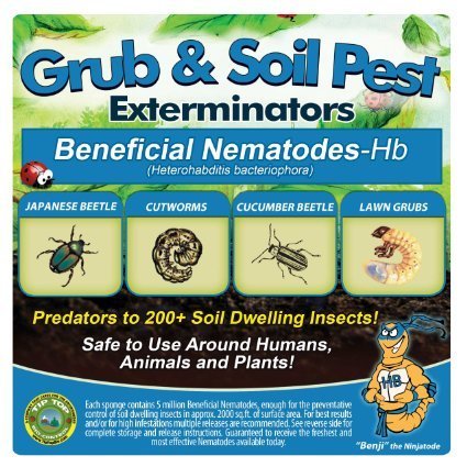 Bug Sales 25 Million Live Beneficial Nematodes Hb - Soil Pest Exterminator