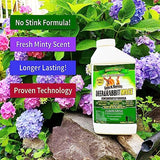 Nature's MACE Deer & Rabbit Repellent 1 Gal Spray/Covers 5,600 Sq. Ft. / Repel Deer from Your Home & Garden/Safe to use Around Children, Plants & Produce/Protect Your Garden Instantly