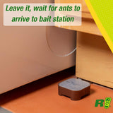 RESCUE! Ant Baits – Indoor Ant Killer, Ant Trap Alternative - 2 Pack (12 Bait Stations)