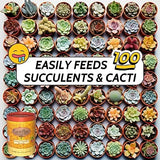 EarthPods Organic Succulent Plant Food Spikes - 100 Count - Made in USA - Succulent Fertilizer Sticks - Christmas Cactus Fertilizer Indoor Potted Plants - Cactus Food - Succulent Food Vitamin Nutrient