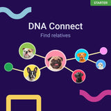 Koko DNA Test for Dogs Starter - (Breeds and Traits Reports) - Updates at no Cost