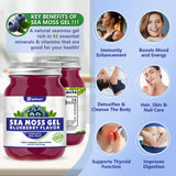 Sea Moss Gel, 18 OZ Wildcrafted Irish Seamoss Gel Rich in 92 Minerals & Vitamins Supports Immune System & Thyroid & Antioxidant, Non-GMO Organic Raw Sea Moss Supplements Blueberry Flavor