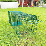 Collapsible Humane Live Animal Cage Trap No-Kill Trapping Kit for Humane Catch Release Rabbits, Stray Cat, Squirrel, Raccoon, All Fit Sized Animals, Heavy Duty, 2-Door 26" x 9.5" x 10.2", Hidden Green