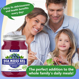 Sea Moss Gel, 18 OZ Wildcrafted Irish Seamoss Gel Rich in 92 Minerals & Vitamins Supports Immune System & Thyroid & Antioxidant, Non-GMO Organic Raw Sea Moss Supplements Blueberry Flavor