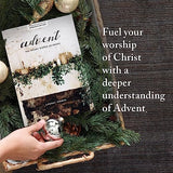 Advent - Bible Study Book: The Weary World Rejoices, Expanded Edition with Scripture Memory Cards