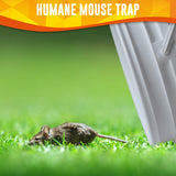 Mouse Trap Bucket,Upgraded Rat Trap Bucket，Bucket Lid Mice Trap ，Auto Reset Rat Trap Compatible 5 Gallon Bucket