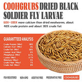 COOHGRUBS 10-lb Dried Black Soldier Fly Larvae Chicken Treats, High Protein Calcium Rich BSF Larvae Snacks for Hens Ducks