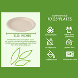 Vplus 150 Pack Compostable Disposable Paper Plates 10 inch Super Strong 100% Bagasse Natural Biodegradable Eco-Friendly Sugarcane Plates(nature)