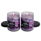 Lilac Blossom Two Pack Odor Eliminating Highly Fragranced Candle - Eliminates 95% of Pet, Smoke, Food, and Other Smells Quickly - Up to 80 Hour Burn time - 12 Ounce Premium Soy Blend