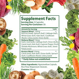 Just Ripe Nutrition Fruits and Veggies Supplement - 90 Fruit and 90 Vegetable Capsules - 100% Whole Natural Superfood - Filled with Vitamins and Minerals - Supports Energy Levels (3 Pack)