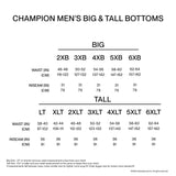 Champion Men's Sweatpants, Powerblend, Relaxed Bottom Pants for Men (Reg. or Big & Tall)