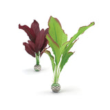 biOrb Silk Plant Set Medium Green & Purple