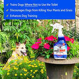 Nature's MACE Dog Repellent 1 Gallon Spray/Treats 3,000 Sq. Ft. / Keep Dogs Out of Your Lawn and Garden/Train Your Dogs to Stay Out of Bushes/Safe to use Around Children & Plants