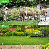 MAGIC CAT Deer Repellent Outdoor, 10 Pack Natural Peppermint Oil Deer and Rabbit Away Repellent for Plants Pet Family Safe, Deer Deterrent for Garden Yard Lawn Tree Protection