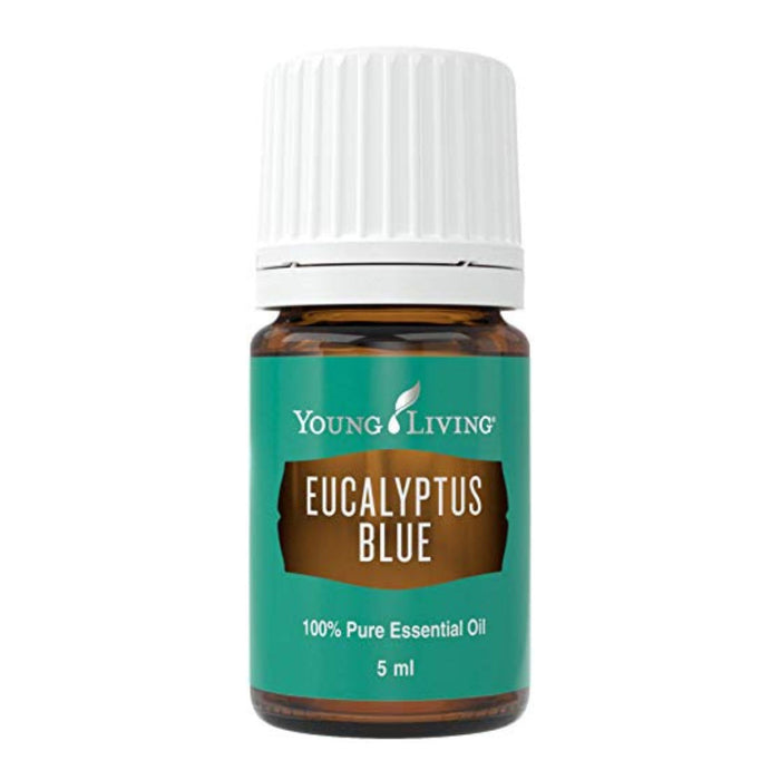 Young Living Eucalyptus Blue Premium Essential Oil Diffuser - 100% Pure, Cool & Refreshing Scent - Aromatherapy for Relaxation and Muscle Relief - 5ml Bottle