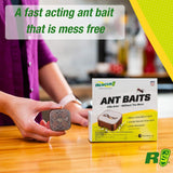 RESCUE! Ant Baits – Indoor Ant Killer, Ant Trap Alternative - 2 Pack (12 Bait Stations)