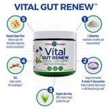 Vital Planet - Vital Gut Renew Powder Supplement for Leaky Gut Repair with L-Glutamine, Marshmallow and Ginger Root, DGL Licorice Root and Organic Aloe Vera, L Glutamine 6000mg 6.88 oz