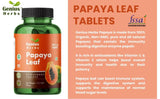 Genius Herbs Papaya Leaf Tablets 1000 mg Per Serving | Carica Papaya Leaf Tablets 500 mg 180 no.s| Boosts Immunity | Natural Detox | 45 Days Supply (Pack of 2)