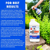 Nature's MACE Dog Repellent 1 Gallon Spray/Treats 3,000 Sq. Ft. / Keep Dogs Out of Your Lawn and Garden/Train Your Dogs to Stay Out of Bushes/Safe to use Around Children & Plants