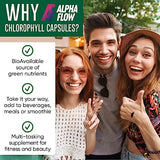 Chlorophyll Capsules 600 mg - Natural Pills for Women & Men - Highly BioAvailable Organic Supplement for Energy, Immunity & Skin Health - Internal Deodorant, Detox & Cleanse