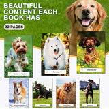 6 Pack Picture Book Set for Seniors with Dementia, Activities for Elderly Seniors, HD Image Quality-Provide Products for Alzheimer's Patients and Adults, Brain Exercise, Increased Communication
