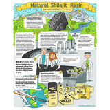 NATURAL SHILAJIT Resin | Shilajit Supplement with Fulvic Acid & Trace Minerals, Plant Based Nutrients for Energy, Immune Support & Vitality - 20 Gram 60-90 Days Supply Gold Grade Shilajit Resin (A+)